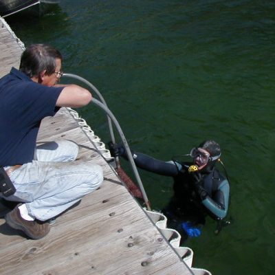 Tom and diver - assessing harbor